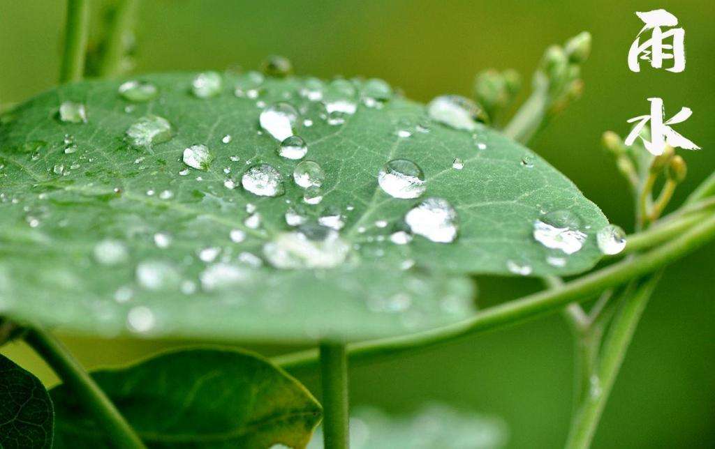 雨水！